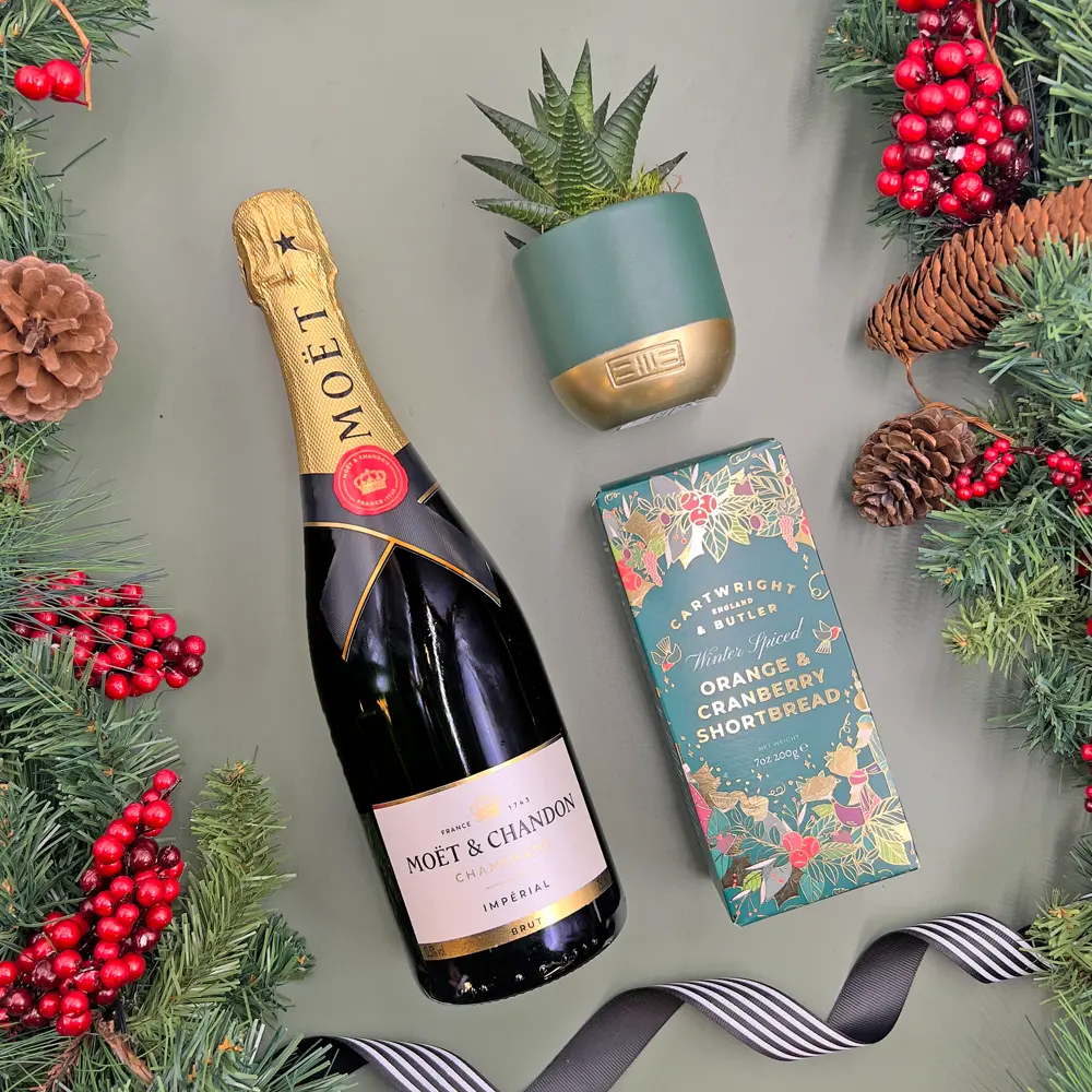 Christmas-Moet-Hamper2 The Christmas Champagne And Succulent Hamper Gift Set - Image 1